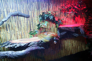 Экзотариум Кабардинки, Геленджик