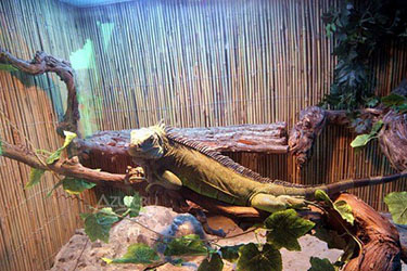 Экзотариум Кабардинки, Геленджик