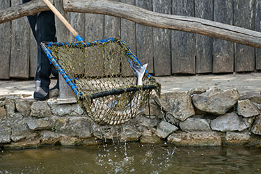 Кастальская Купель в Кабардинке, Геленджик