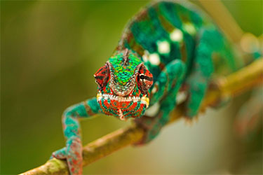 Экзотариум Кабардинки, Геленджик