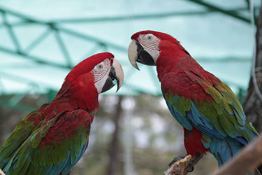 Развлекательный комплекс Олимп, Кабардинка, Геленджик